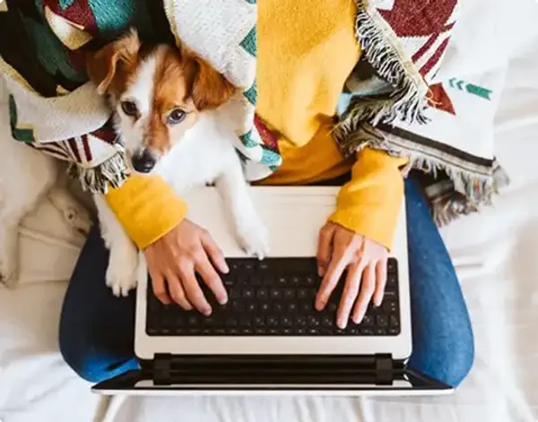 The Ultimate Guide to Tracking and Managing Your Deliveries